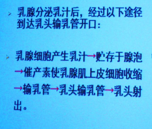 影響泌乳的因素有哪些，母乳喂養(yǎng)得了解