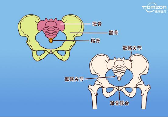 產(chǎn)后骨盆有哪些變化，用盆底康復(fù)治療儀可以治療嗎？