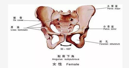 產(chǎn)后恢復