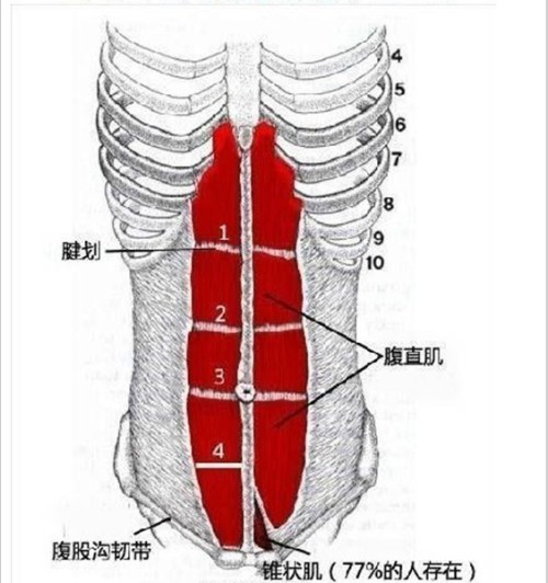 產(chǎn)后康復(fù)治療