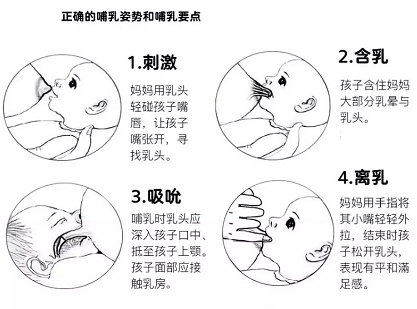 母乳喂養(yǎng)