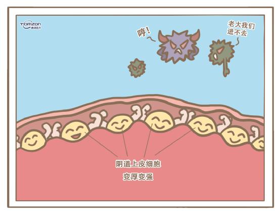 盆底康復(fù)治療儀.jpg